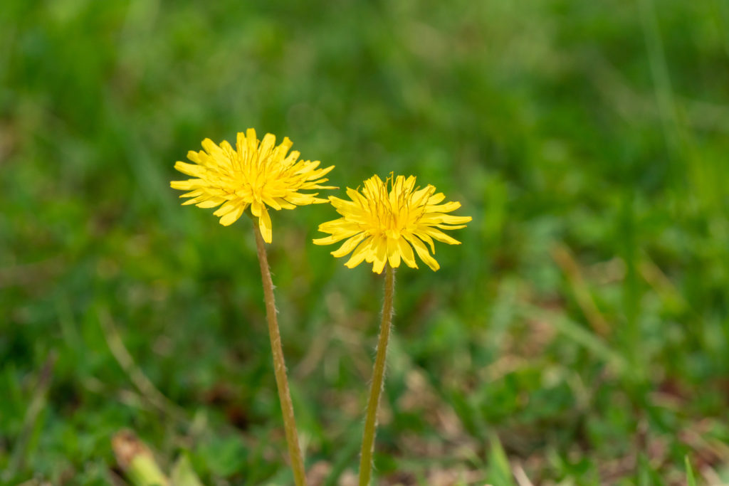 UD会計事務所 名古屋　会計士